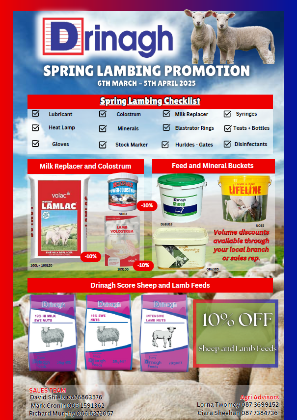 Spring Lambing Promotion 2025